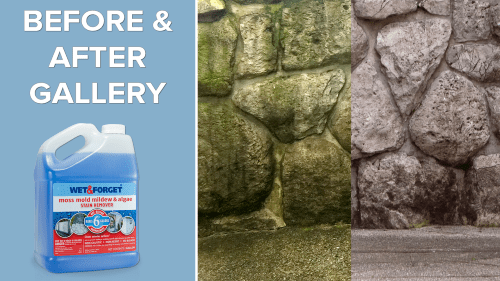 wet & forget moss mold mildew and algae stain remover