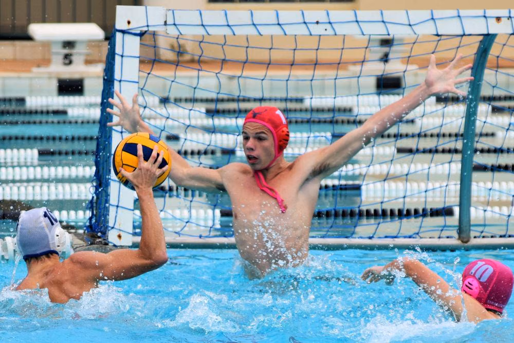 Mengenal Polo Air : Peraturan, Cara Bermain, Beserta Manfaatnya